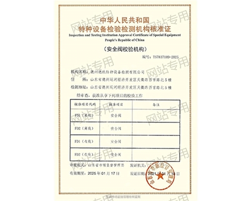 特種設備檢驗檢測機構核準證（安全閥）